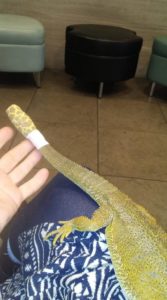 Mango Update